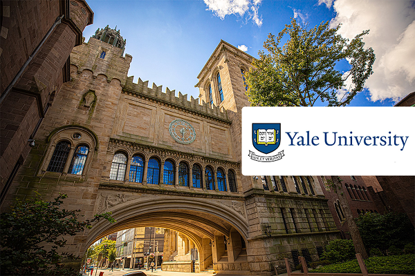 yale1 1